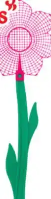 Ocean State Job Lot Basic Fly Swatter offer