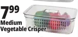 Ocean State Job Lot Medium Vegetable Crisper offer