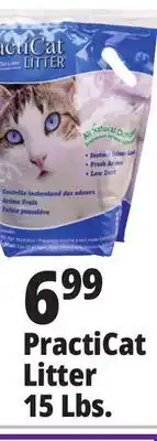 Ocean State Job Lot Premium Scoopable Cat Litter 15 lbs offer