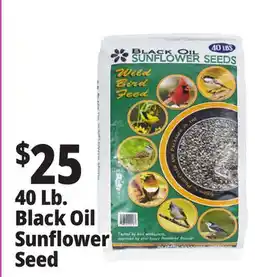 Ocean State Job Lot Black Oil Sunflower Seeds 40 lbs offer
