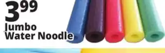 Ocean State Job Lot 55 Jumbo Pool Noodle offer