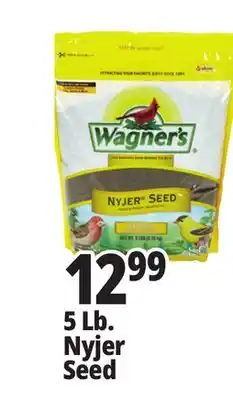 Ocean State Job Lot Wagner's Premium Nyjer Seed 5 lbs offer