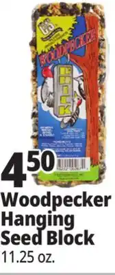 Ocean State Job Lot C&S Woodpecker Brick 11.25 oz offer
