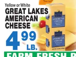 Bravo Supermarkets GREAT LAKES AMERICAN CHEESE offer