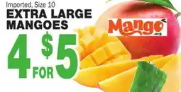 Bravo Supermarkets EXTRA LARGE MANGOES offer