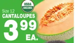 Bravo Supermarkets CANTALOUPES offer
