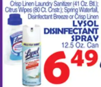 Bravo Supermarkets LYSOL DISINFECTANT SPRAY 12.5 Oz. Can offer