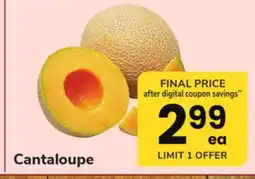 ACME Cantaloupe offer