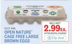 Kings Food Markets OPEN NATURE CAGE FREE LARGE BROWN EGGS offer