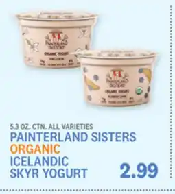 Kings Food Markets PAINTERLAND SISTERS ORGANIC ICELANDIC SKYR YOGURT offer