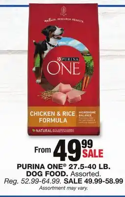 Blain's Farm & Fleet PURINA ONE 27.5-40 LB. DOG FOOD offer