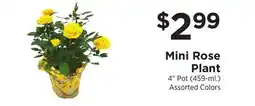 ShopRite Mini Rose Plant offer