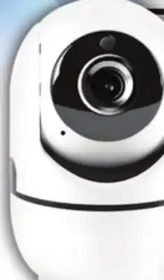 Big 5 Lifeware Wi-Fi Enabled Tilt and Pan Camera offer