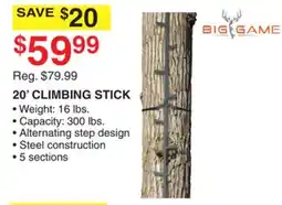 Dunham's Sports 20' CLIMBING STICK offer