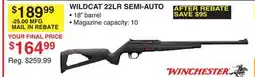 Dunham's Sports WINCHESTER WILDCAT 22LR SEMI-AUTO offer