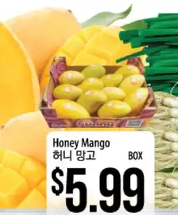 Hmart Honey Mango offer