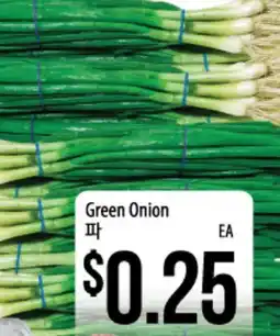 Green Onion