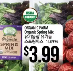 Hmart ORGANIC FARM organic Spring Mix offer