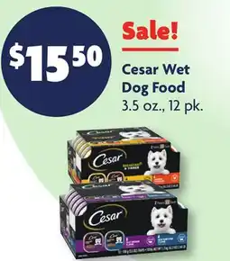Family Dollar Cesar Wet Dog Food offer