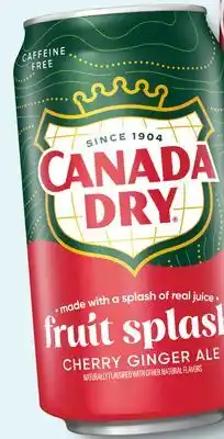 Target Canada Dry and more 10-pk. mini or 12-pk. soda offer