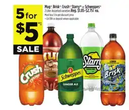Dollar General Mug , Brisk , Crush , Starry TM or Schweppes offer