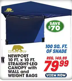 Big 5 Golden Bear Newport 10'x10' Straight-Leg Canopy with Wall offer