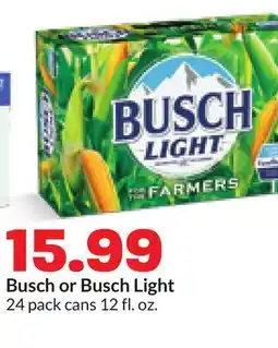 Hy-Vee Busch or Busch Light offer