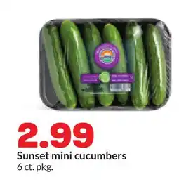 Hy-Vee Sunset mini cucumbers offer