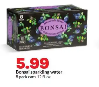 Hy-Vee Bonsai sparkling water offer