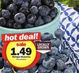Meijer Michigan Blueberries Pint container. offer