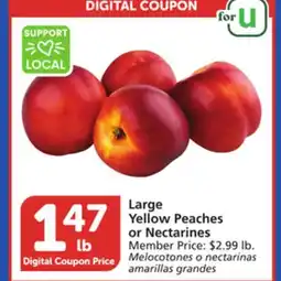 Vons Large Yellow Peaches or Nectarines offer