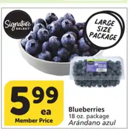 Albertsons Blueberries offer