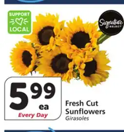 Albertsons Fresh Cut Sunflowers offer