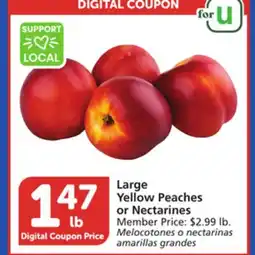 Albertsons Large Yellow Peaches or Nectarines offer