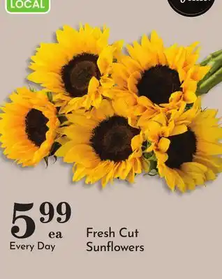Pavilions Fresh Cut Sunflowers offer