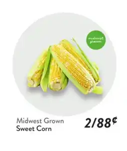 Fresh Thyme Sweet Corn offer
