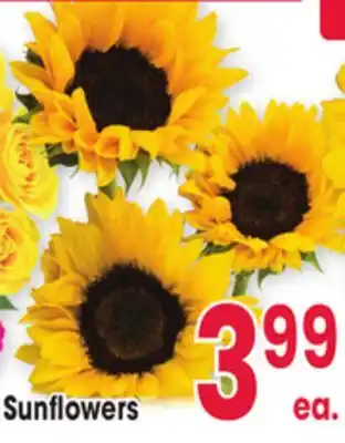 Jewel-Osco Sunflowers offer