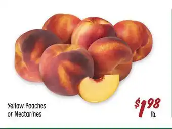 Sprouts Farmers Market Yellow Peaches or Nectarines offer