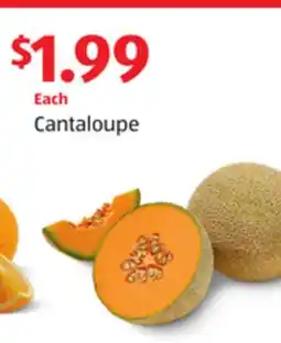 Aldi Cantaloupe offer