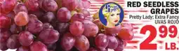 Bravo Supermarkets RED SEEDLESS GRAPES offer