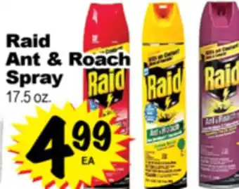 Superior Grocers Raid Ant & Roach Spray offer