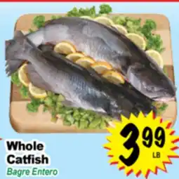 Superior Grocers Whole Catfish offer