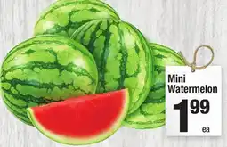 Super King Markets Mini Watermelon offer