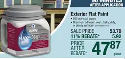 Menards Dutch Boy Maxbond Plus Exterior 100% Acrylic Flat Polka Dot Paint + Primer - 1 gal offer