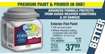 Menards Dutch Boy Forever Exterior Flat Cruisin' Blue Paint+ Primer - 1 gal offer