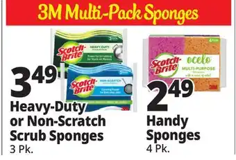 Ocean State Job Lot Sponges offer