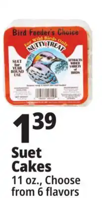Ocean State Job Lot Bird Feeder's Choice High Energy Suet 11 oz offer