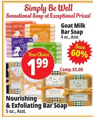 Ocean State Job Lot Simply Be Well Soap offer