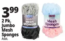 Ocean State Job Lot 2 Pk. Jumbo Mesh Sponges offer