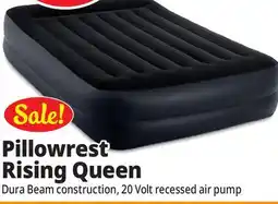 Ocean State Job Lot Intex Queen Dura-Beam Pillow Rest Raised Air Mattress with Internal Pump offer